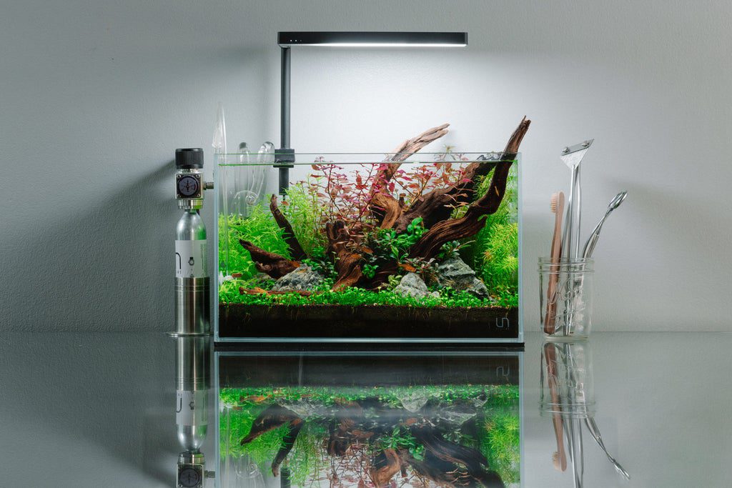 Co2 Injection For Aquarium Plants | NZ | The Aquascape Shop - Aquarium Co2 Injection Kits