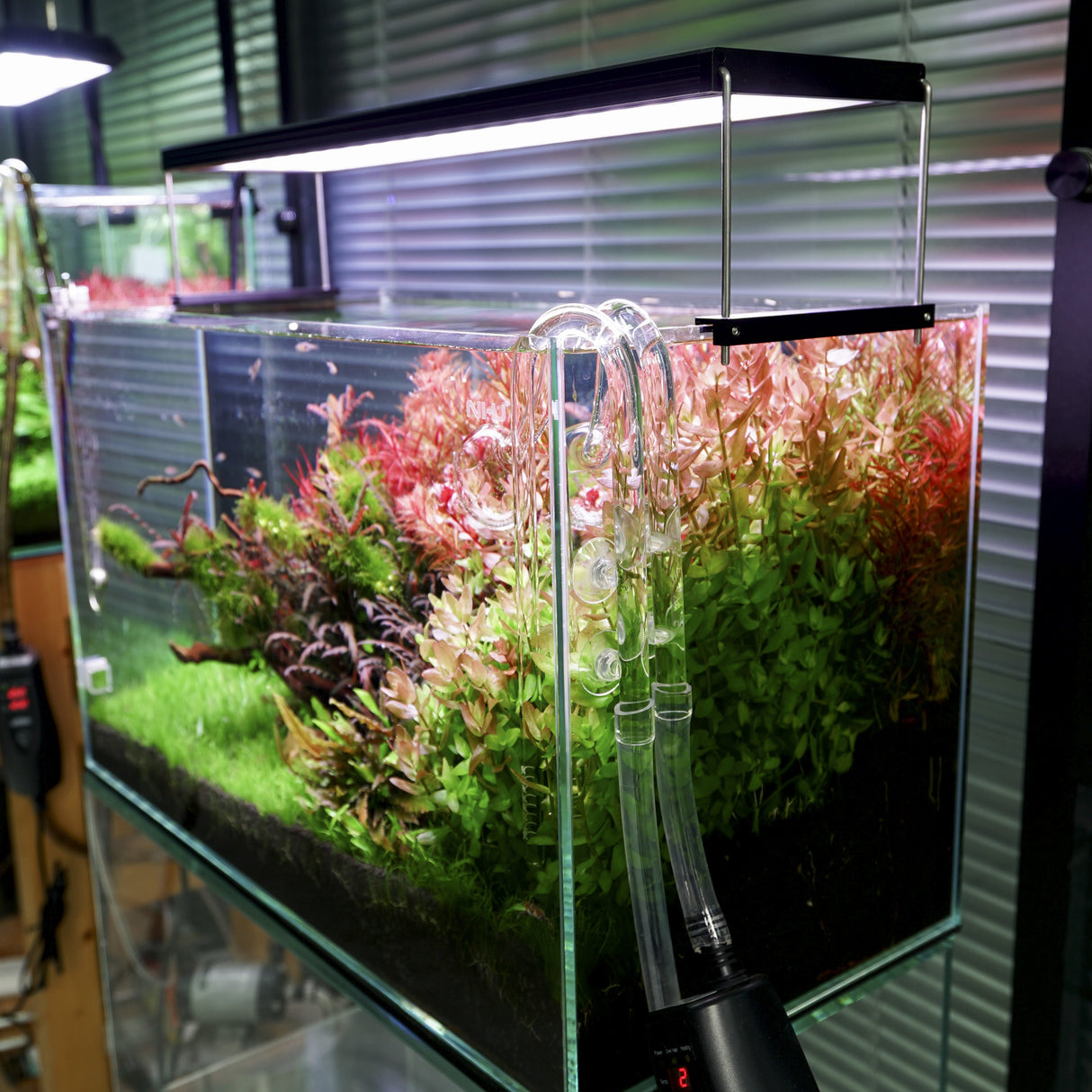 Chihiros WRGBII PRO LED