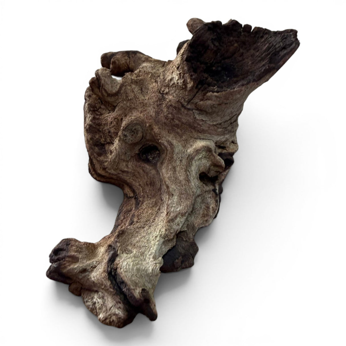 Mopani Wood