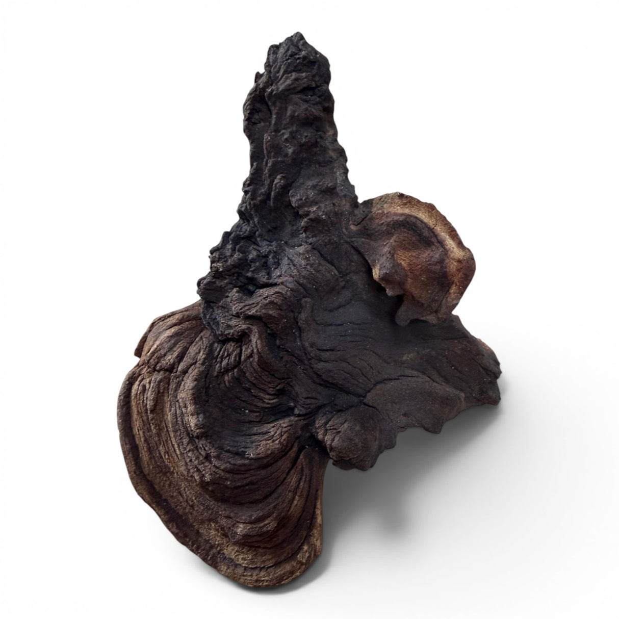 Mopani Wood
