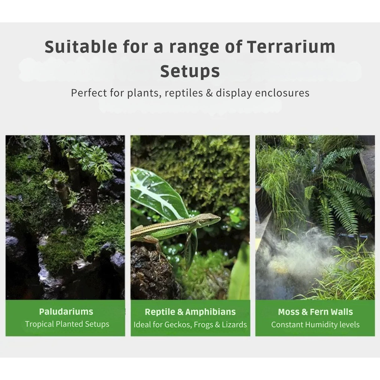 Automatic Terrarium Misting System – Complete Spray Kit