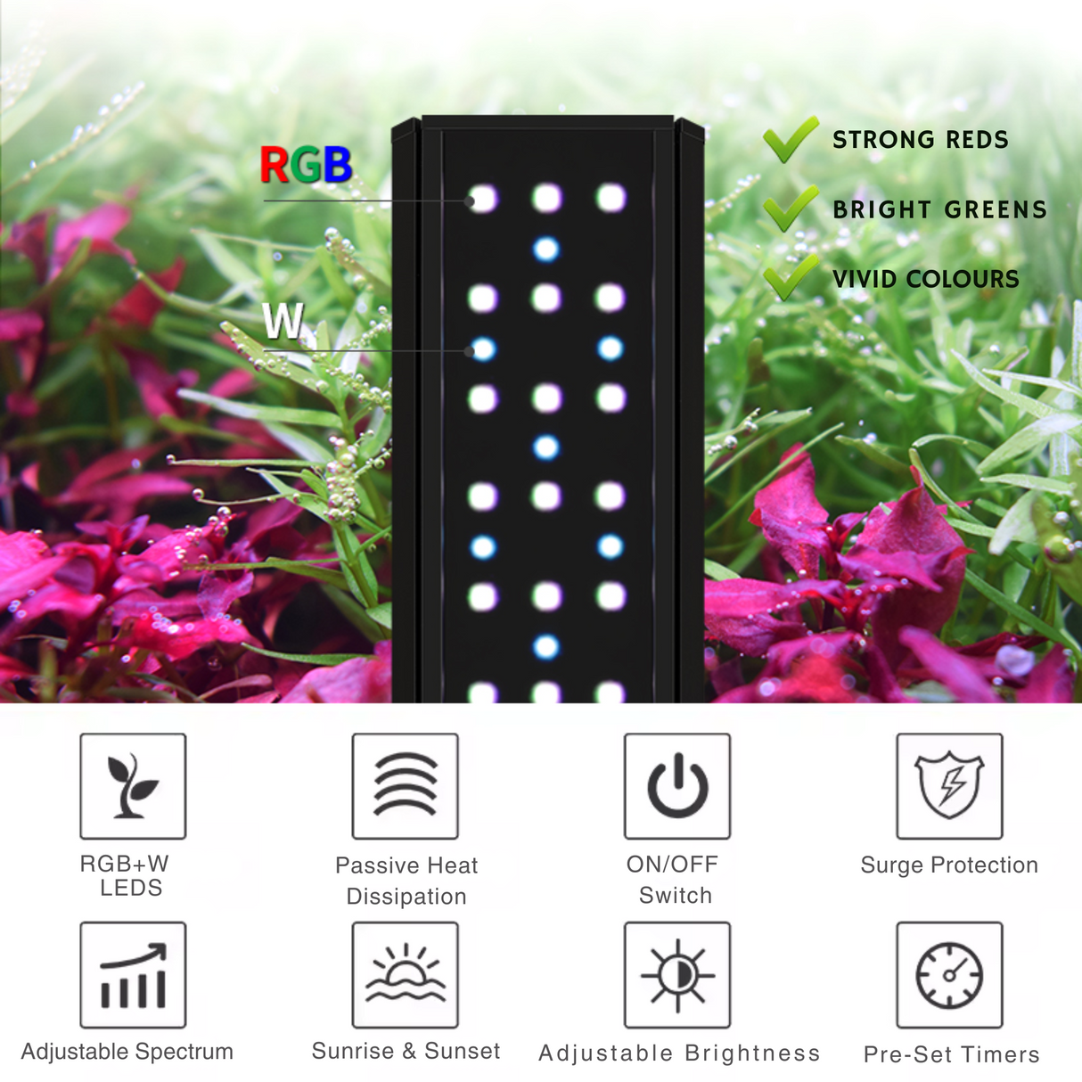 Week Aqua V Series LED