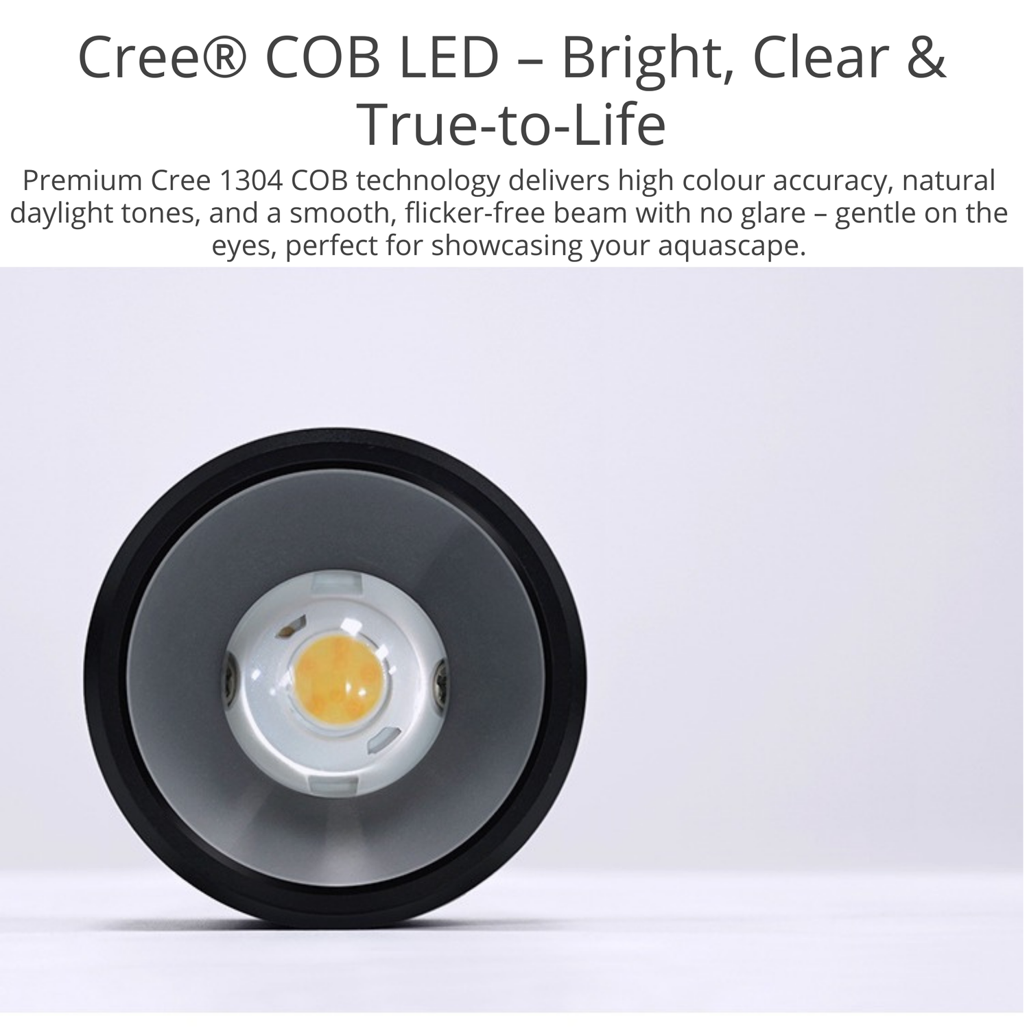 Week Aqua Mini7 Pro-F LED
