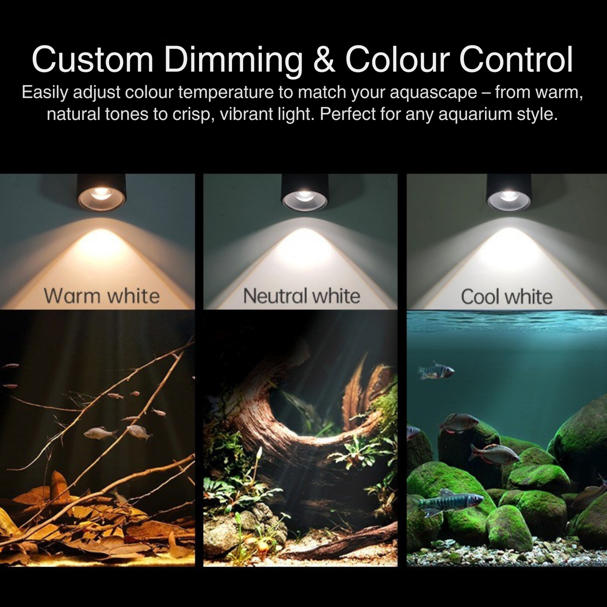 Week Aqua Mini7 Pro-F LED