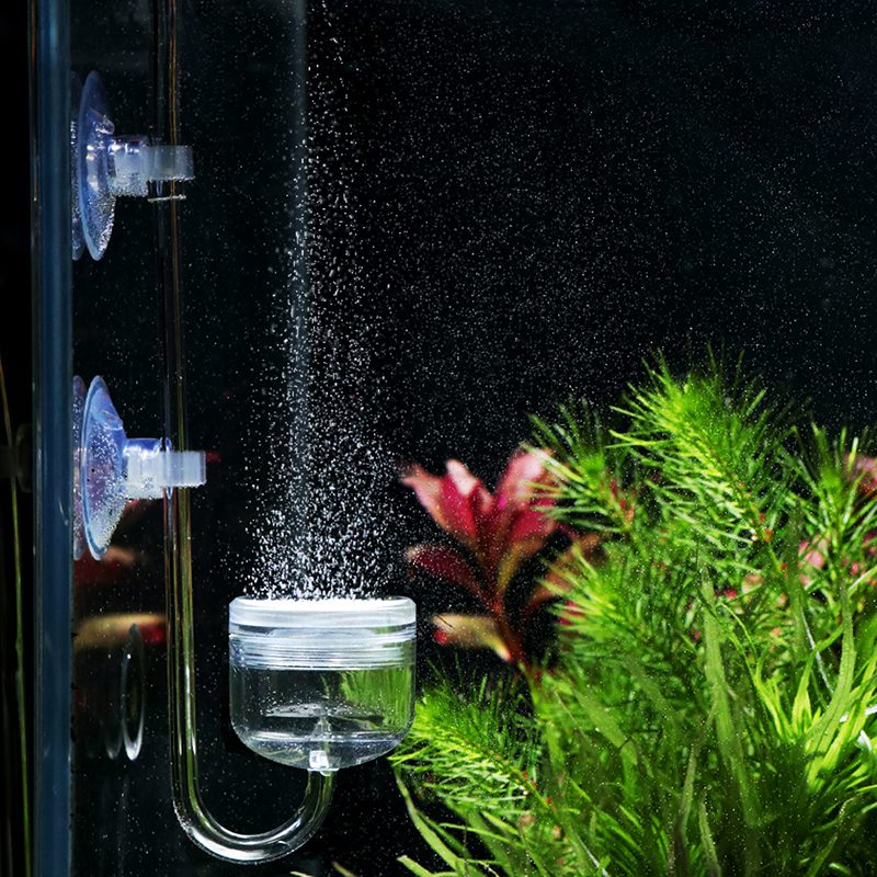 Acrylic Co2 Diffuser - The Aquascape Shop
