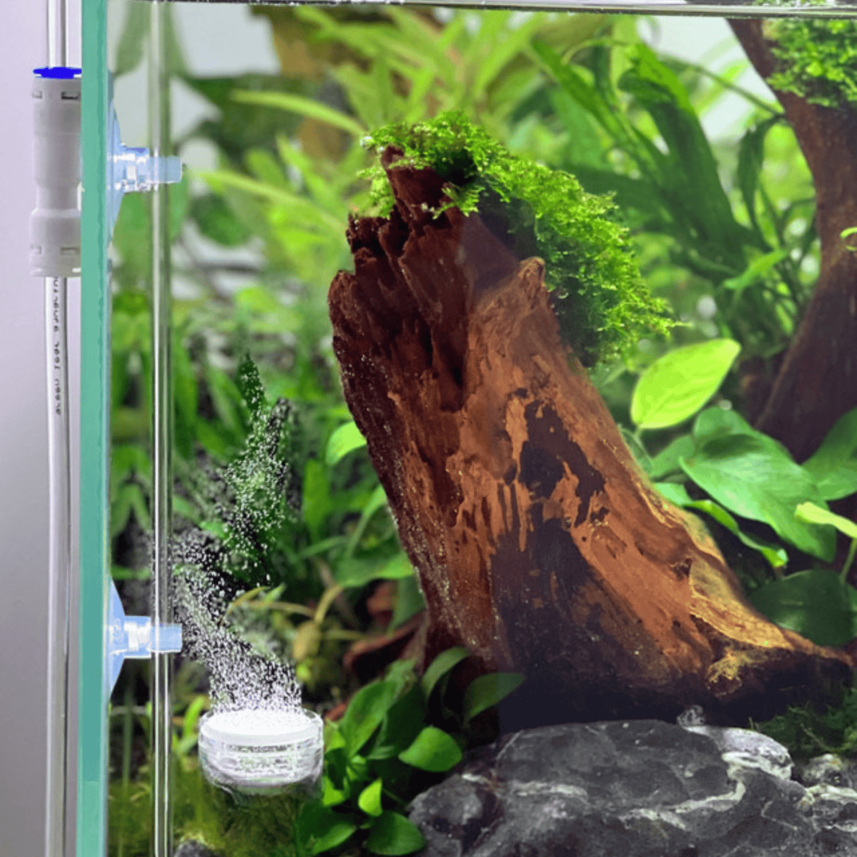 Acrylic Extended Co2 Diffuser - The Aquascape Shop