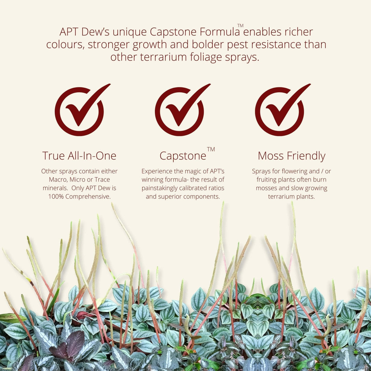 APT Dew - The Aquascape Shop