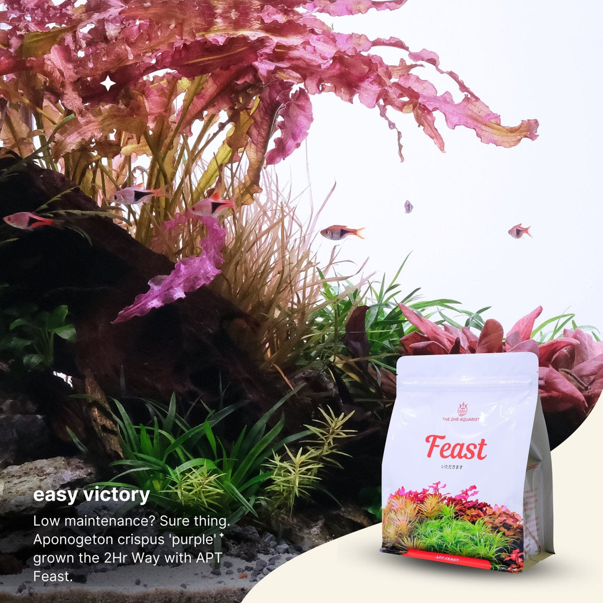 APT Feast Aquasoil - The Aquascape Shop