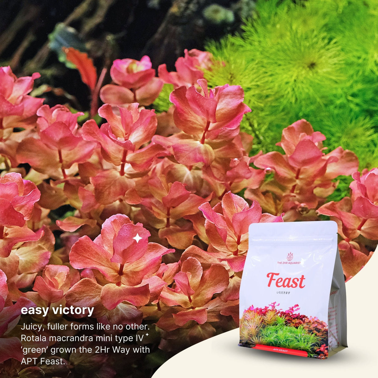 APT Feast Aquasoil - The Aquascape Shop