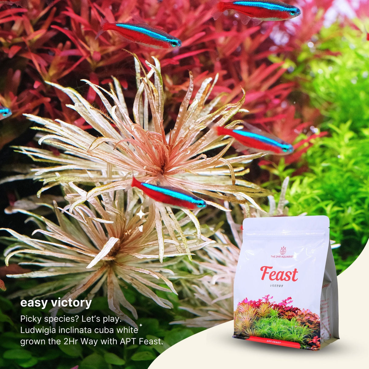 APT Feast Aquasoil - The Aquascape Shop