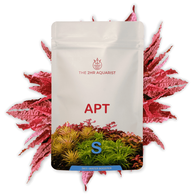 APT Sky - The Aquascape Shop
