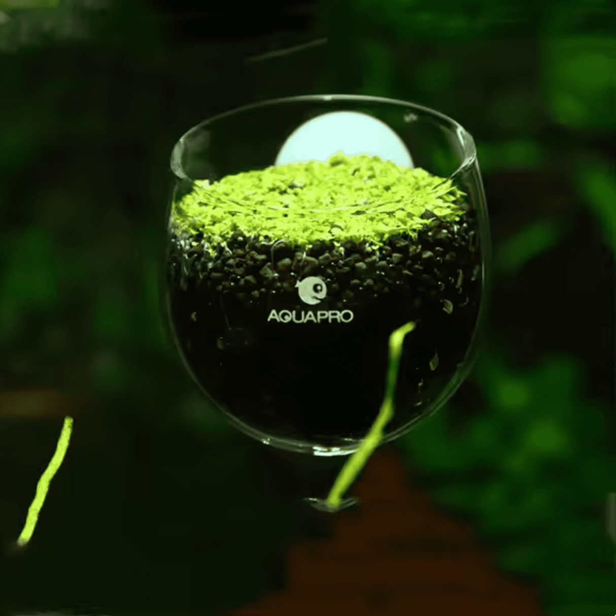 Aquapro Aquarium Glass Plant Pot - The Aquascape Shop