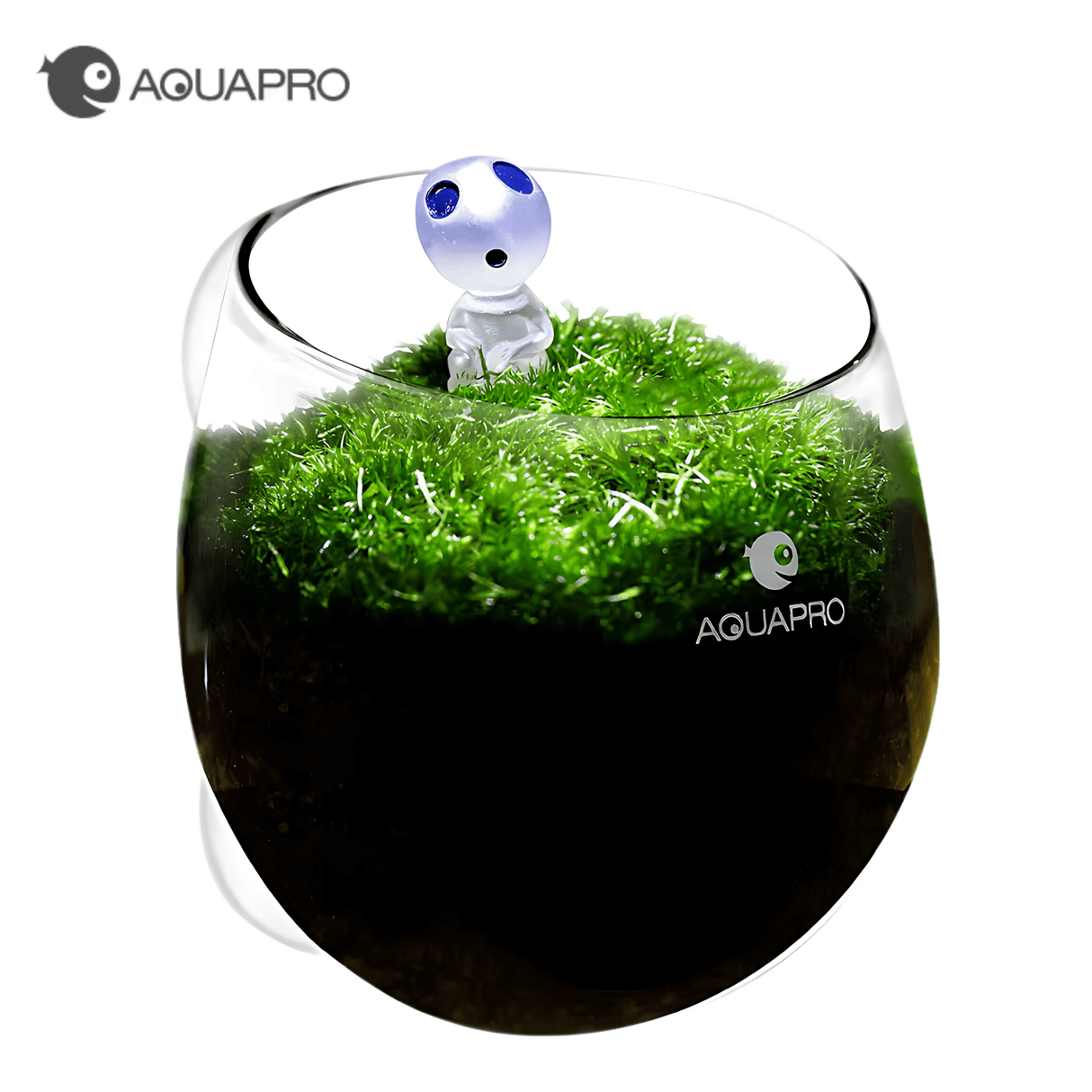 Aquapro Aquarium Glass Plant Pot - The Aquascape Shop