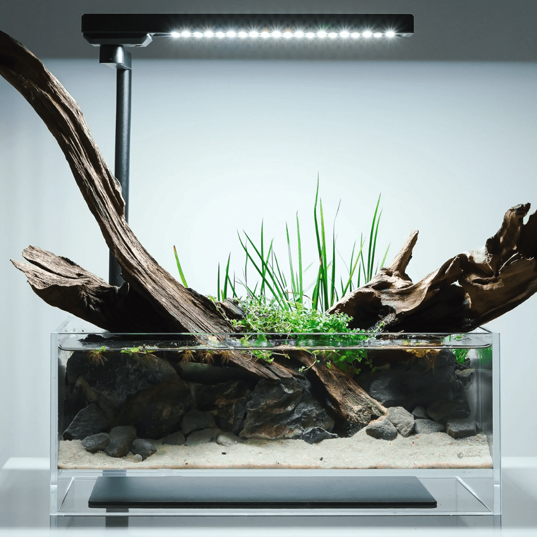 Aquapro UltraClear Glass Air - The Aquascape Shop