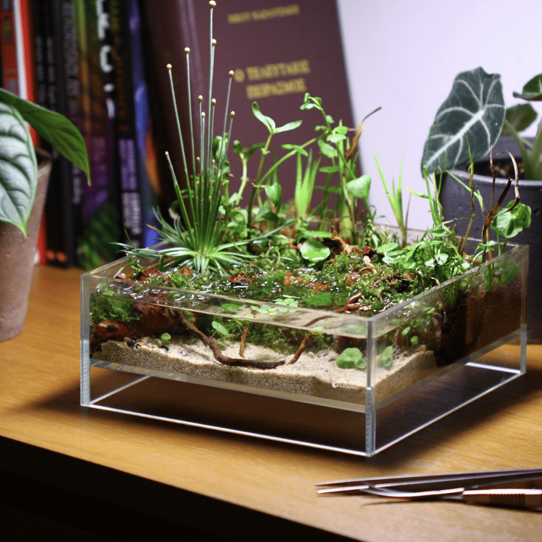 Aquapro UltraClear Glass Air - The Aquascape Shop