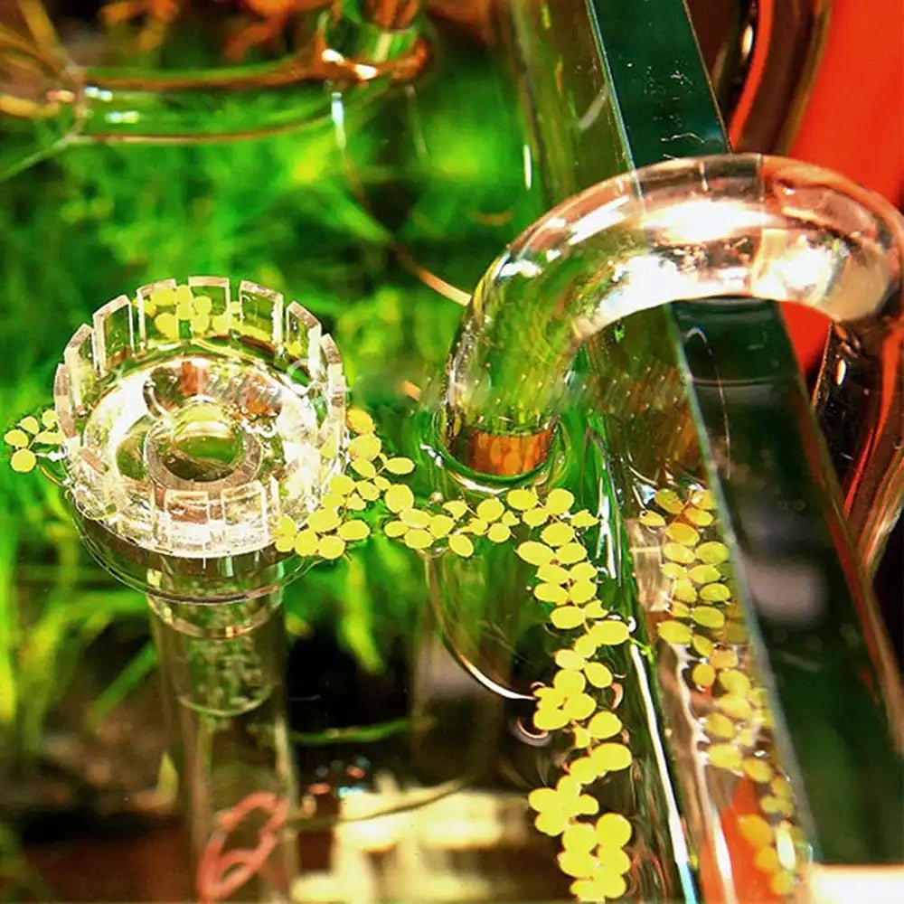 Aquarium Glass External Filter Inlet Pipe with Integrated Surface Skimmer - The Aquascape Shop