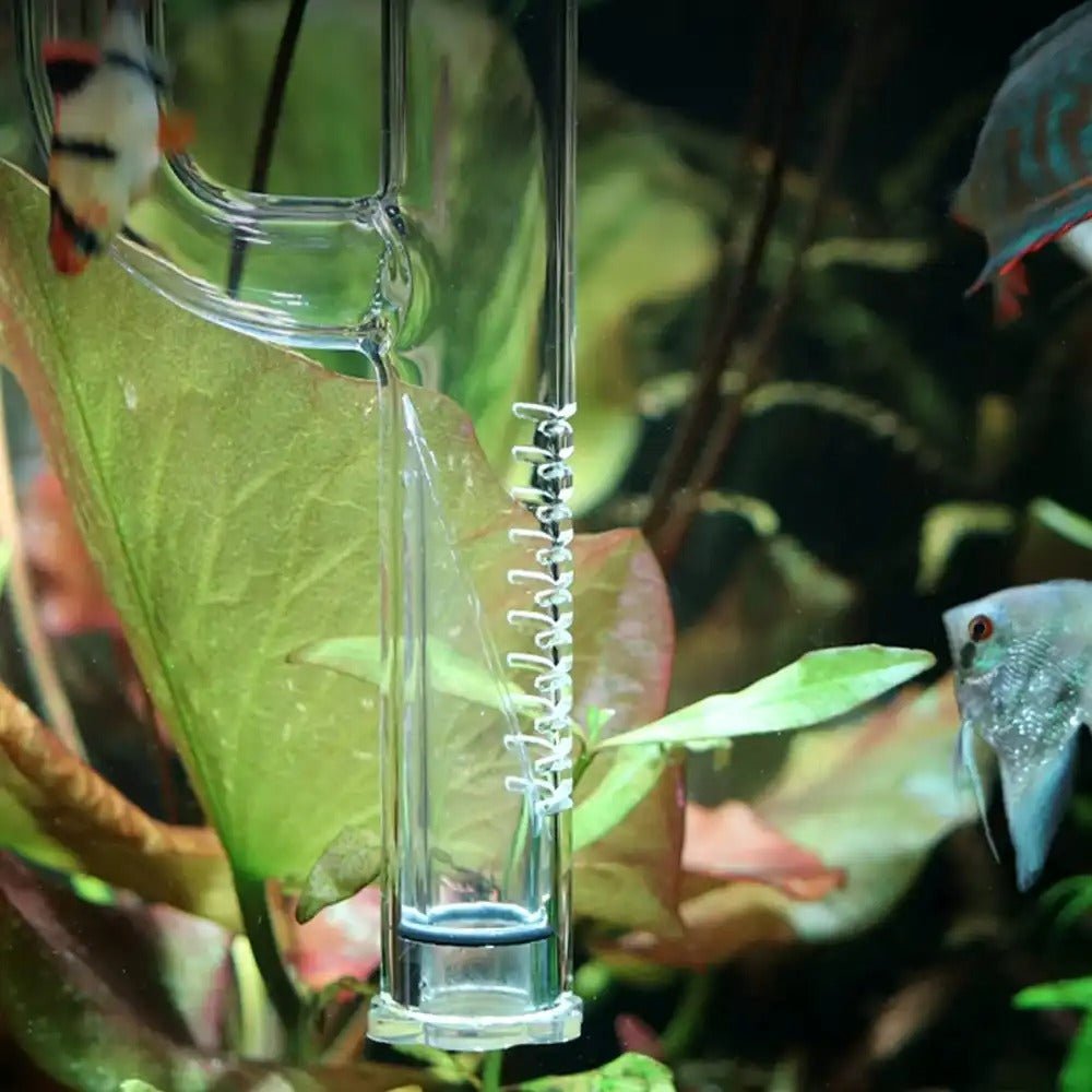 Aquarium Glass External Filter Inlet Pipe with Integrated Surface Skimmer - The Aquascape Shop