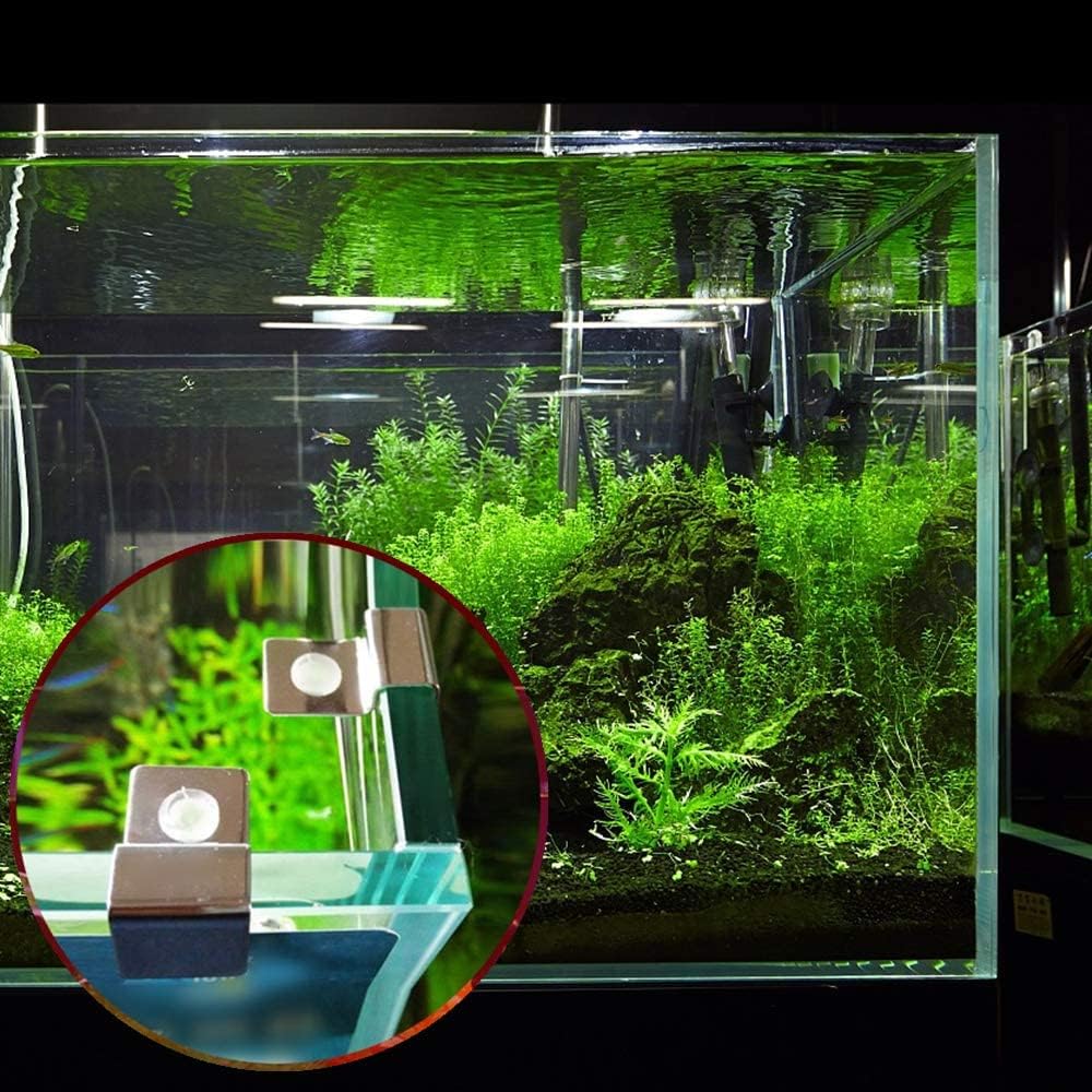 Aquarium Glass Lid Clips – Stainless Steel Holders with Silicone Pads - Set of 4 - The Aquascape Shop