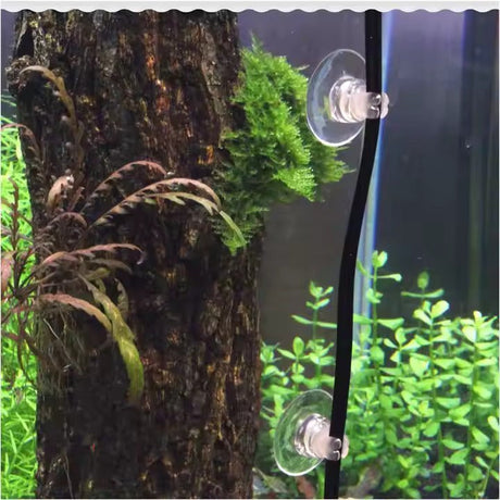 Aquarium Suction Cup Holders for 4/6mm Airline Tubing - 4 Pack - The Aquascape Shop