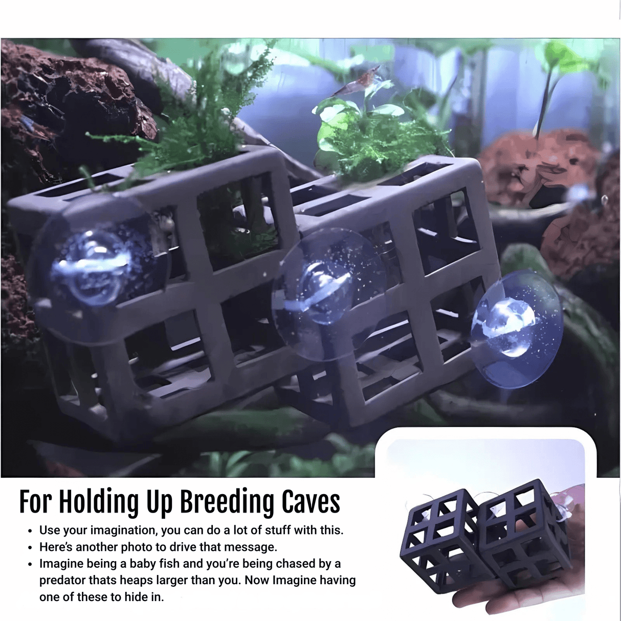 Aquarium Suction Cups with Zip Ties – 4 Pack - The Aquascape Shop