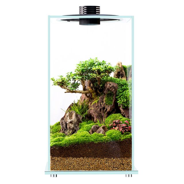 Bioloark Bio Bottle LED FD - The Aquascape Shop