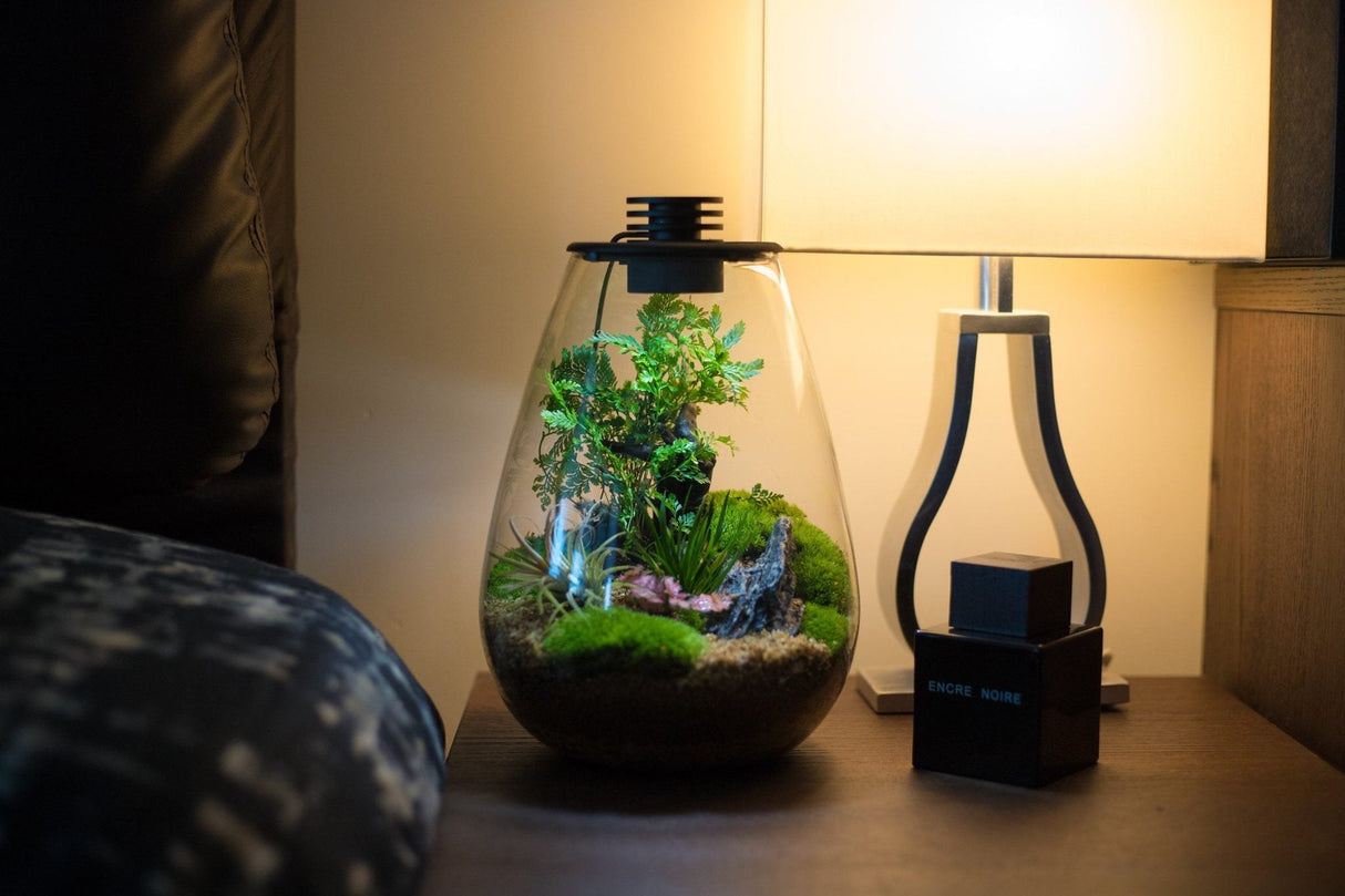 Bioloark Bio Bottle LED SD - The Aquascape Shop