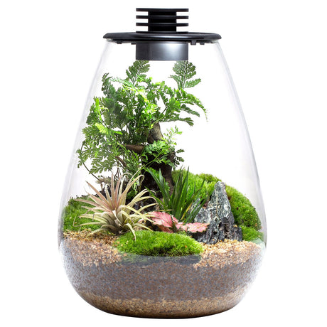 Bioloark Bio Bottle LED SD - The Aquascape Shop