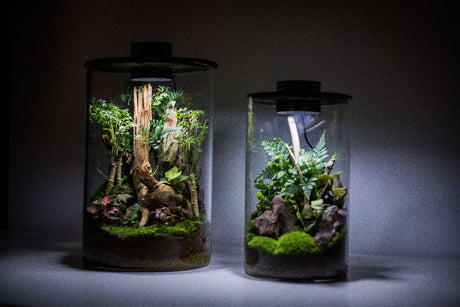 Bioloark Bio Bottle LED ZD - The Aquascape Shop