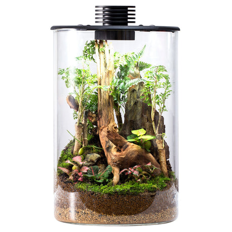 Bioloark Bio Bottle LED ZD - The Aquascape Shop