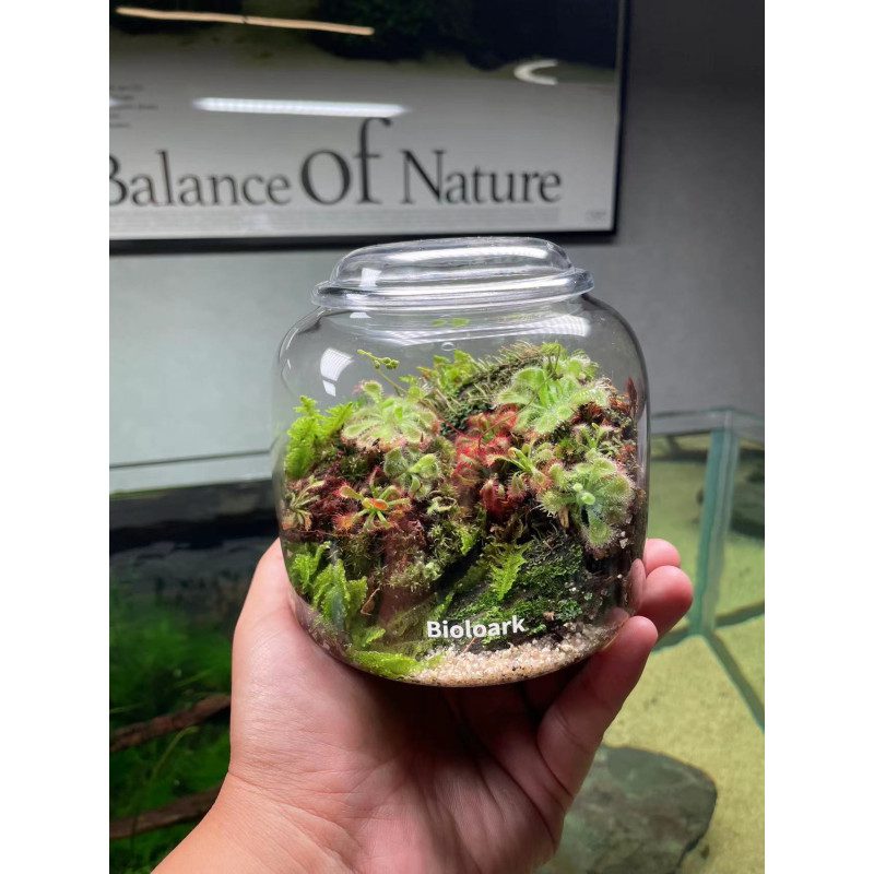 Bioloark Bubble Cup - The Aquascape Shop