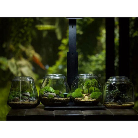 Bioloark Bubble Cup - The Aquascape Shop