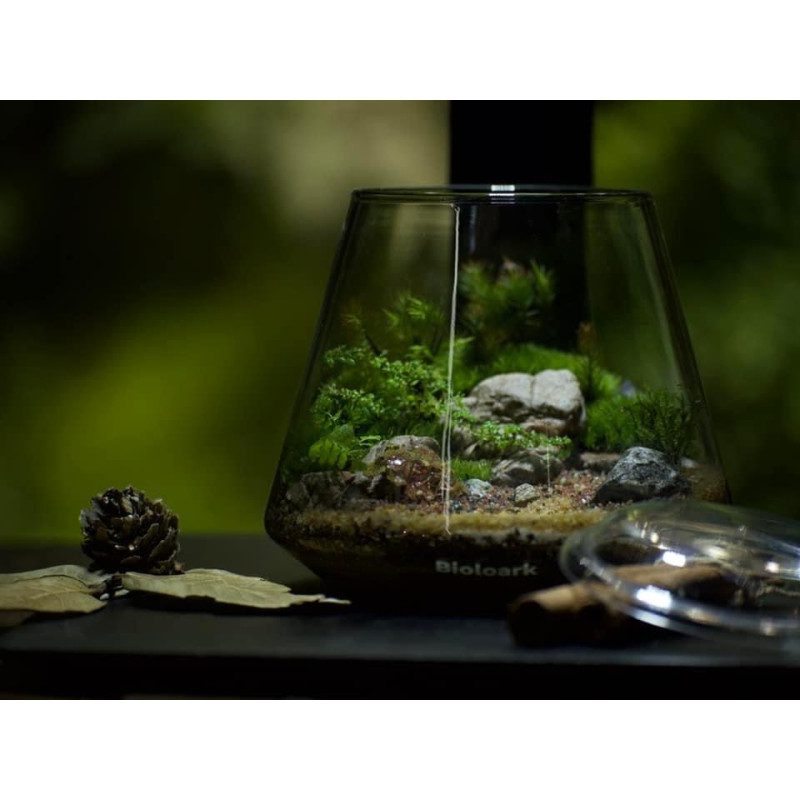Bioloark Bubble Cup - The Aquascape Shop