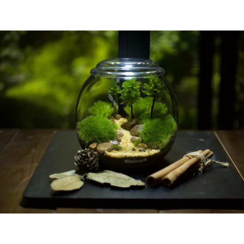 Bioloark Bubble Cup - The Aquascape Shop