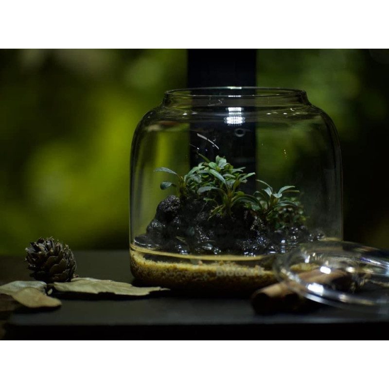 Bioloark Bubble Cup - The Aquascape Shop