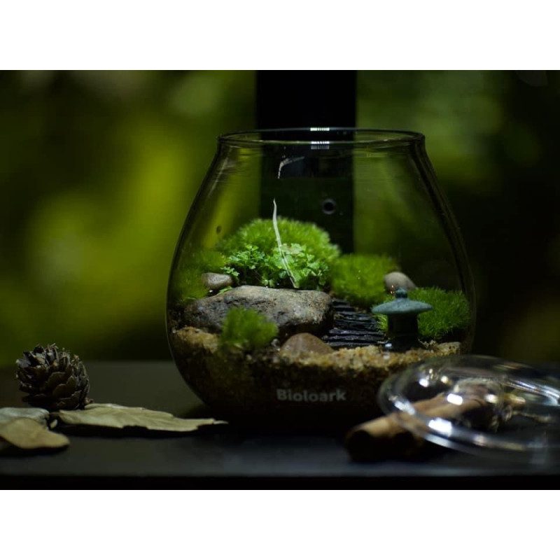 Bioloark Bubble Cup - The Aquascape Shop