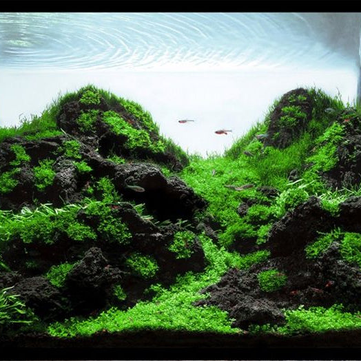 Black Lava Stone