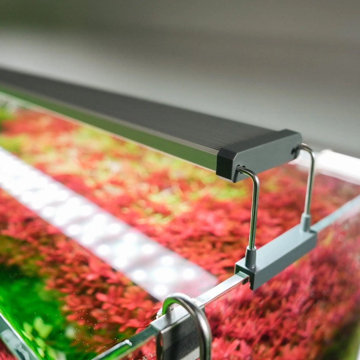 Chihiros B Series LED Aquarium Lighting - The Aquascape Shop