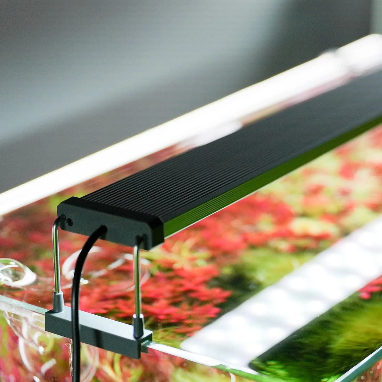 Chihiros B Series LED Aquarium Lighting - The Aquascape Shop
