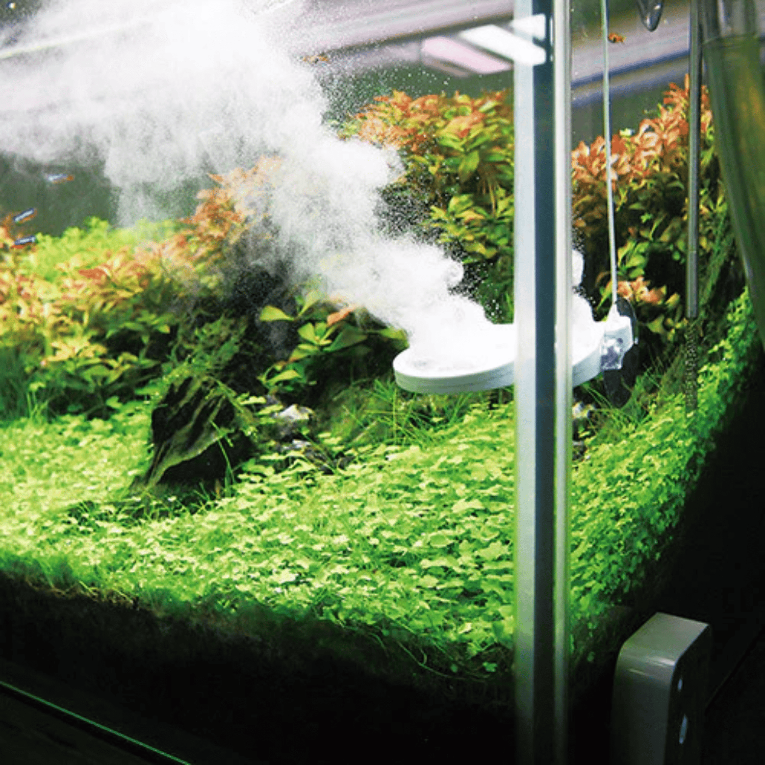 Chihiros Doctor Mesh Reactor - 4th Gen Bluetooth - The Aquascape Shop