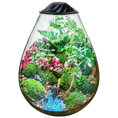 Chihiros ECO Ping - The Aquascape Shop