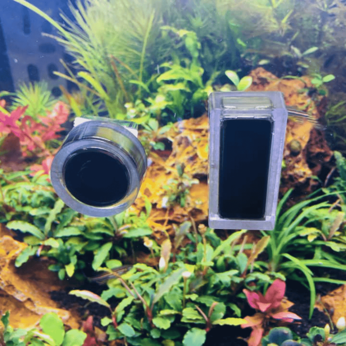Chihiros Magnetic Algae Scraper - The Aquascape Shop