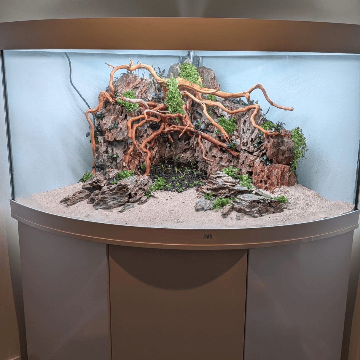 Chihiros Universal WRGB LED - The Aquascape Shop