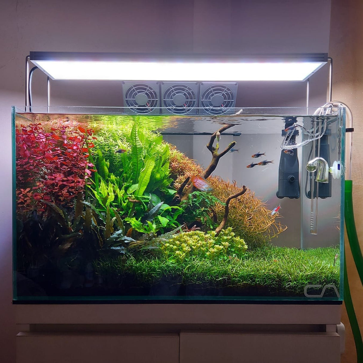 Chihiros WRGBII LED - The Aquascape Shop