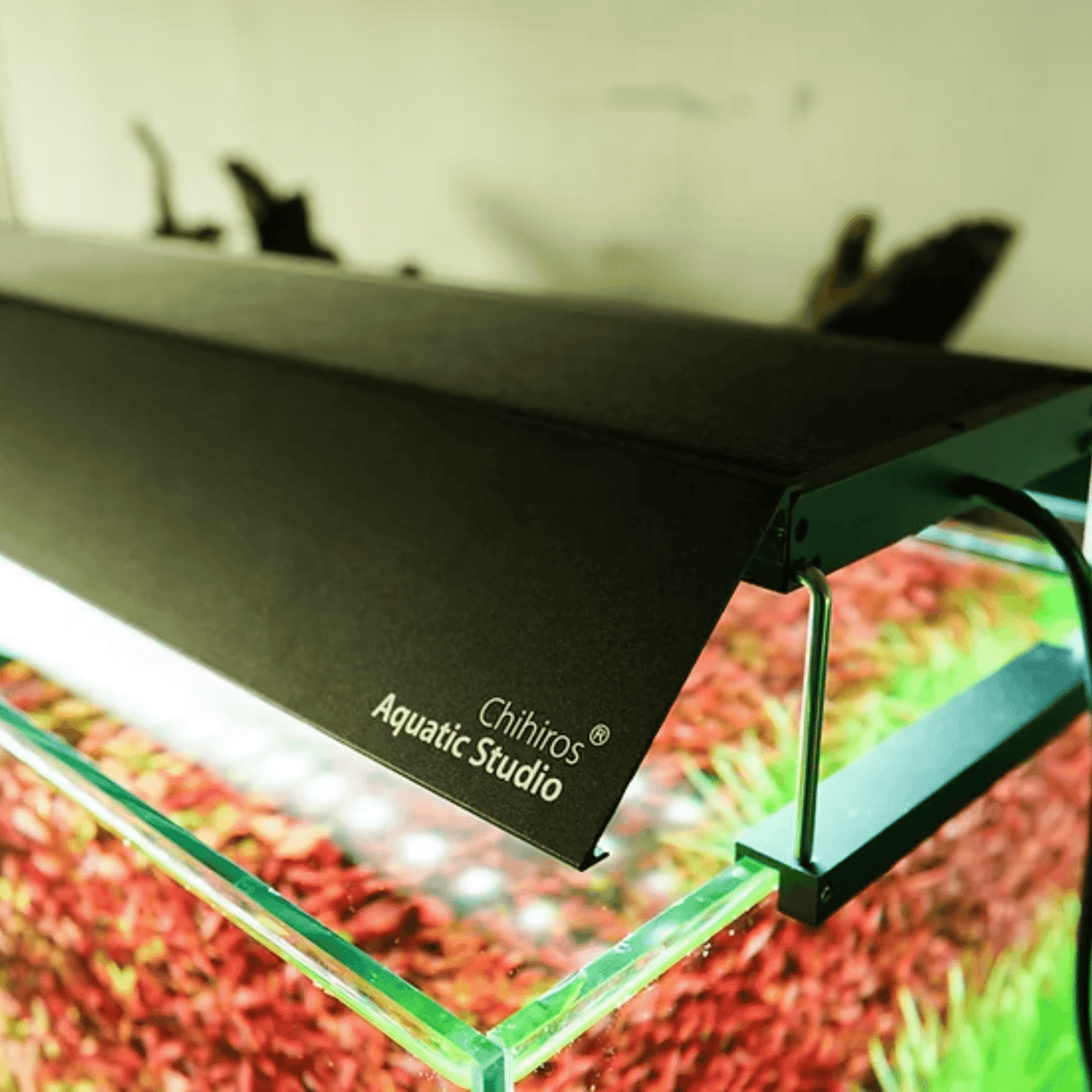 Chihiros WRGBII PRO Shades - The Aquascape Shop