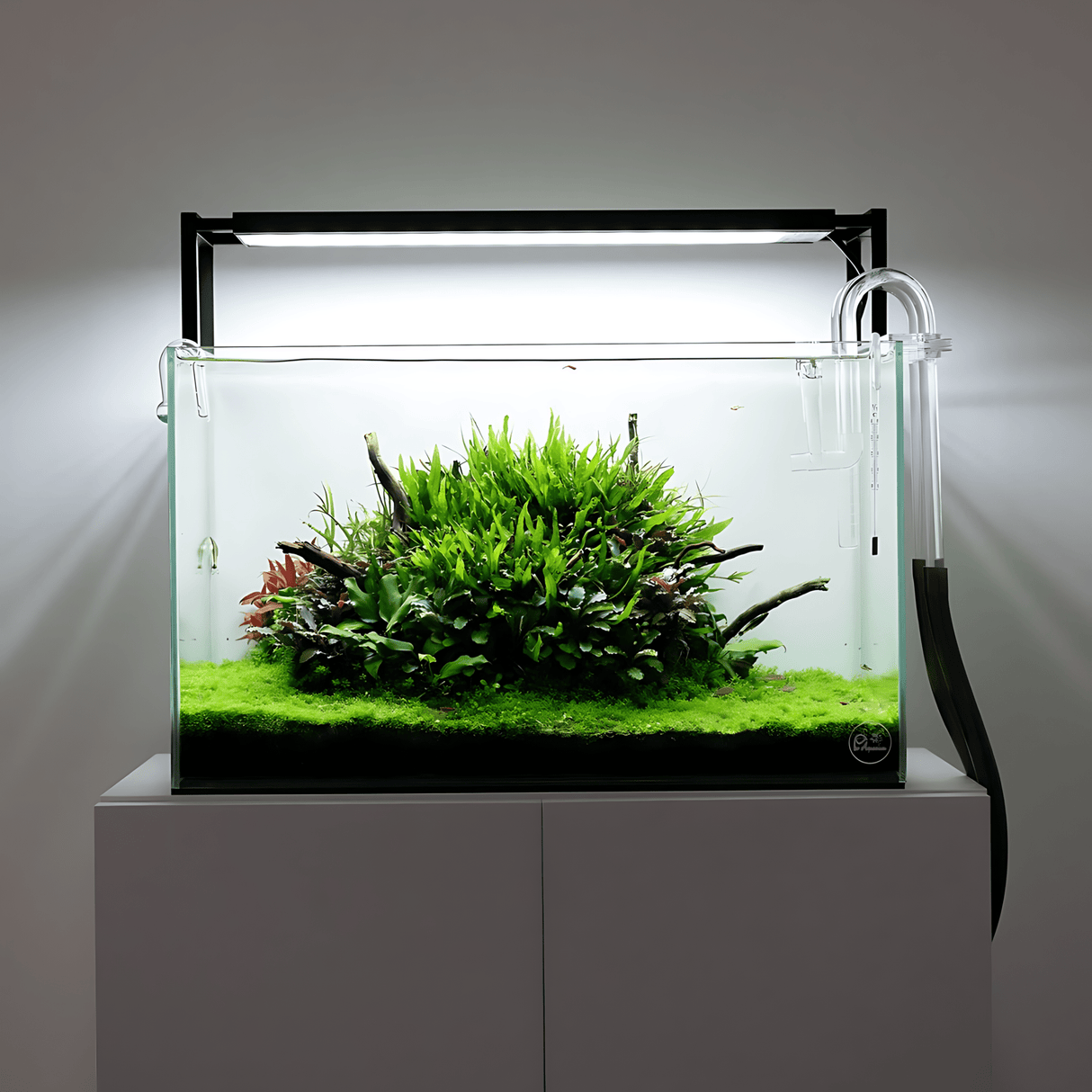 Chihiros WRGBII SLIM LED - The Aquascape Shop