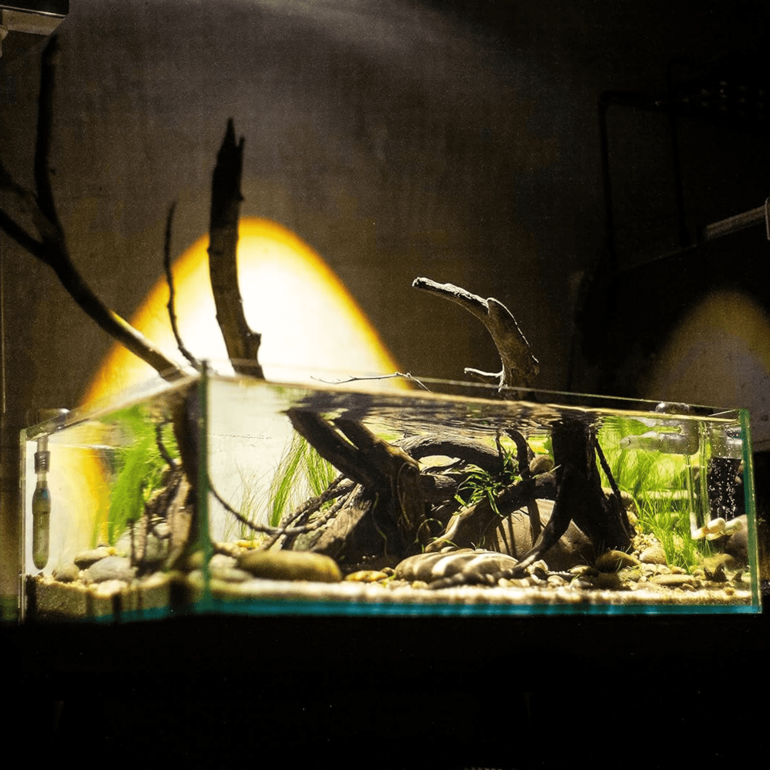 Chihiros Z Tiny LED Light - The Aquascape Shop