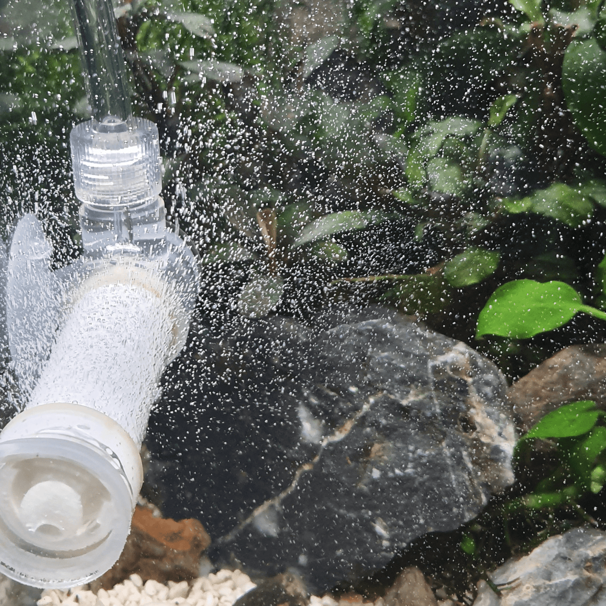 Co2 Art Bazooka Flux Diffuser - The Aquascape Shop