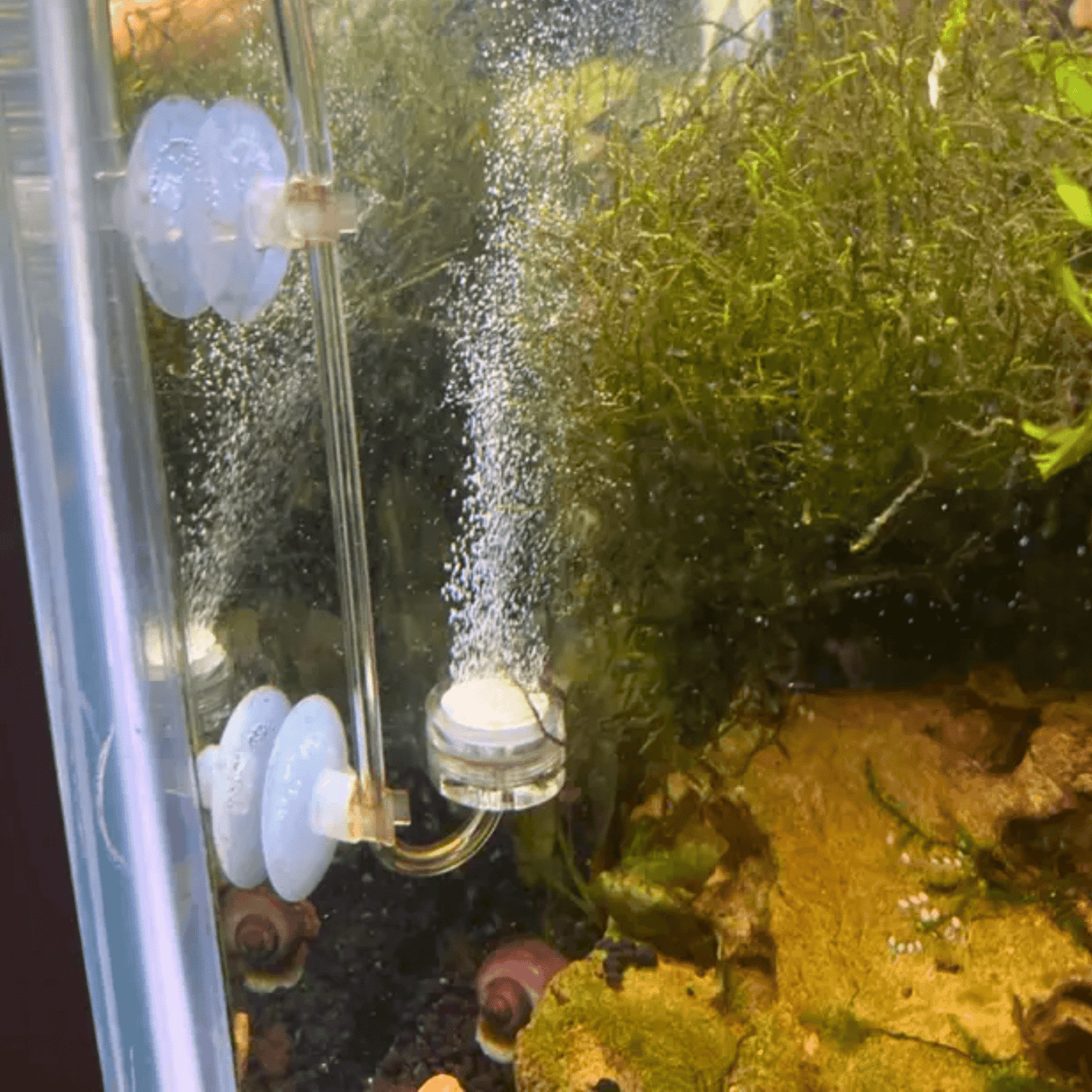 Co2 Art IO Diffuser - Acrylic Series - The Aquascape Shop