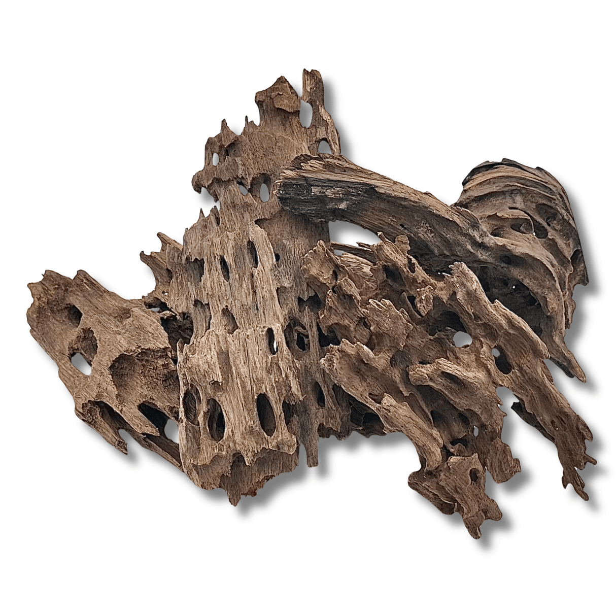 Dragon Driftwood - The Aquascape Shop