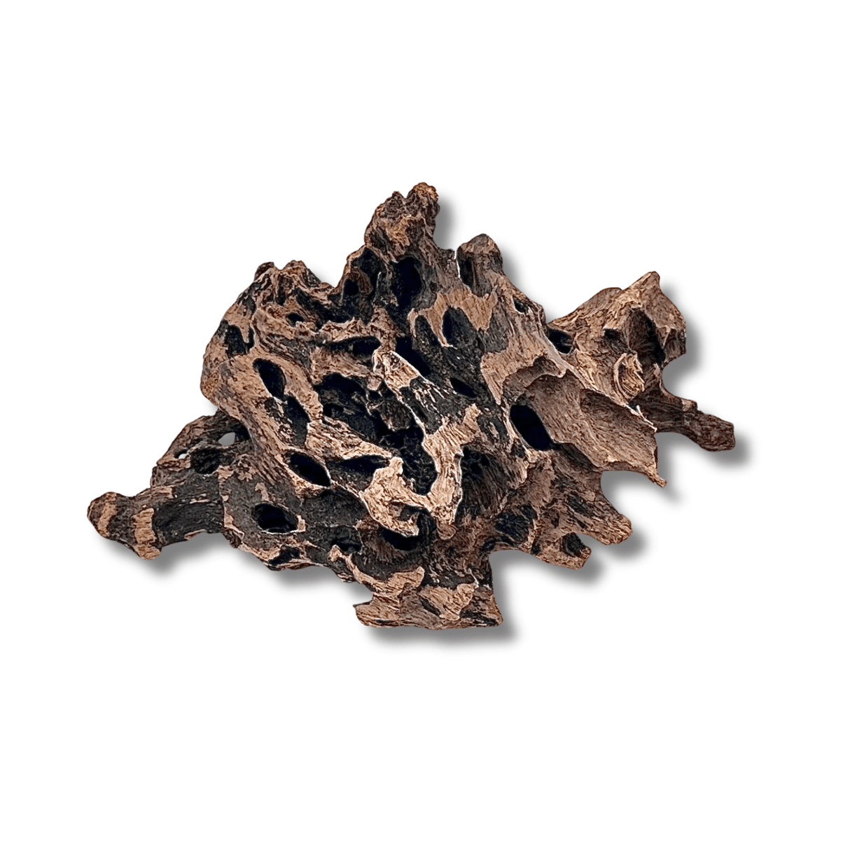 Dragon Driftwood - The Aquascape Shop